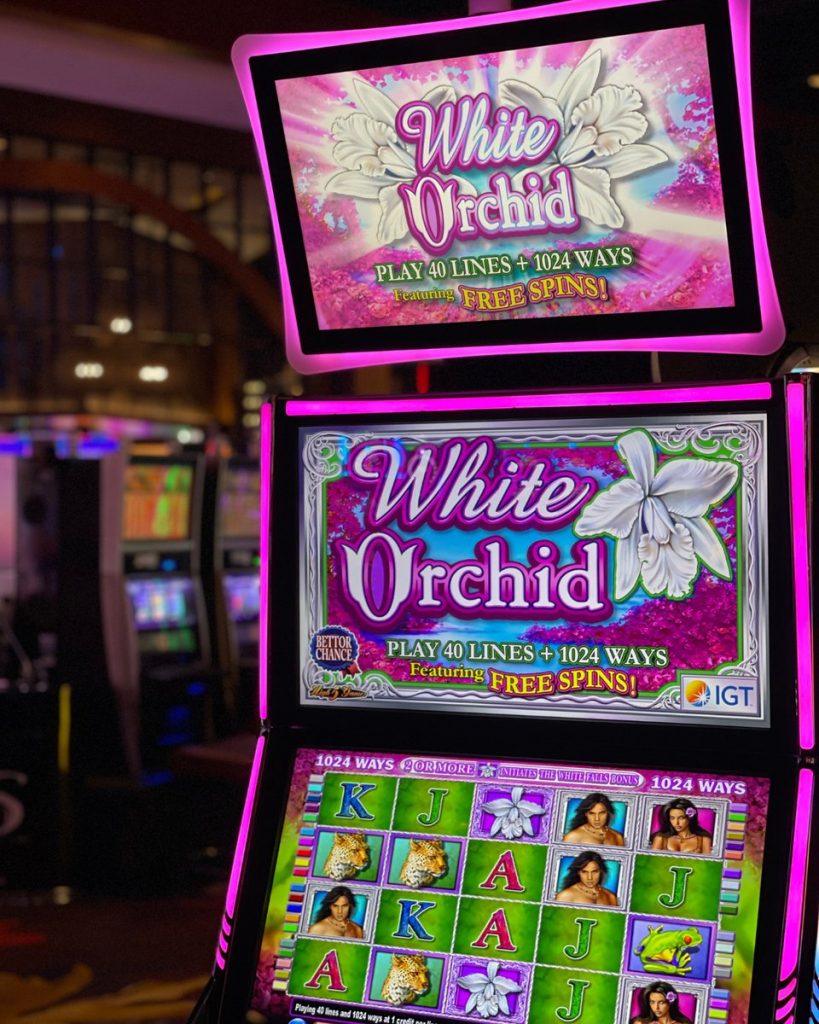 white orchid slot game
